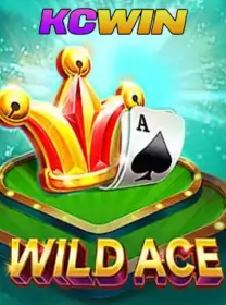 kcwin wild ace